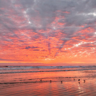 Pink Beach Sunrise No. 2 ‹ Creative Sparks Imagery